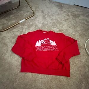 Hollister Crewneck